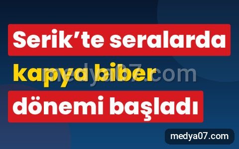 Serik’te seralarda kapya biber dönemi başladı