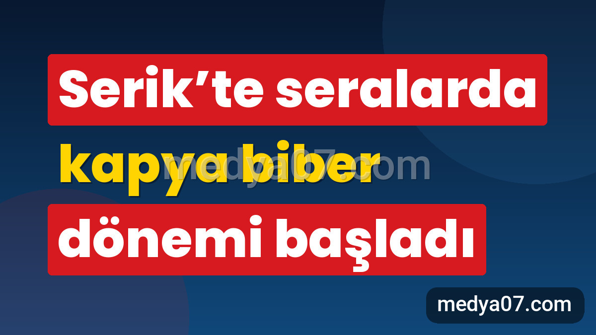 Serik’te seralarda kapya biber dönemi başladı