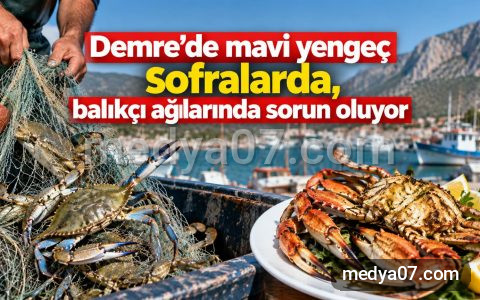 Demre’de mavi yengeç sofralarda, balıkçı ağlarında sorun oluyor