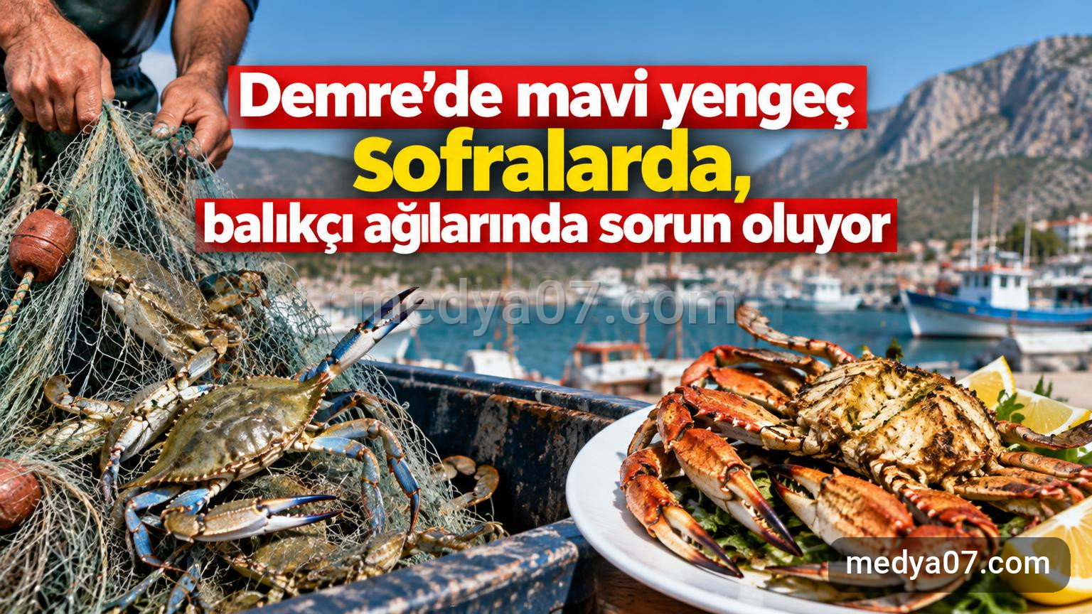 Demre’de mavi yengeç sofralarda, balıkçı ağlarında sorun oluyor