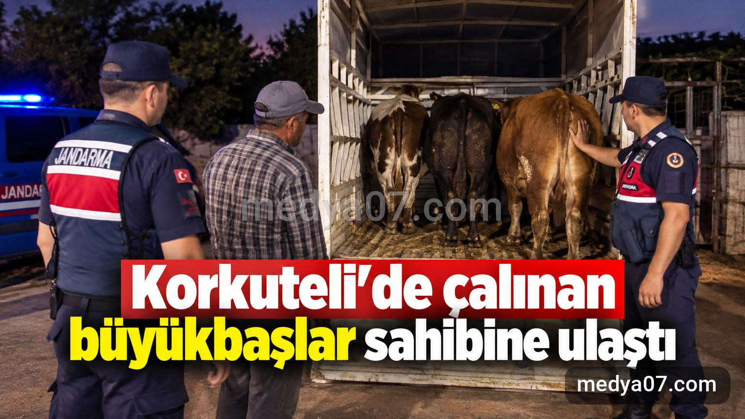 Korkuteli’de çalınan büyükbaşlar sahibine ulaştı