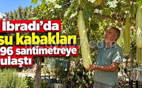 İbradı’da su kabakları 96 santimetreye ulaştı