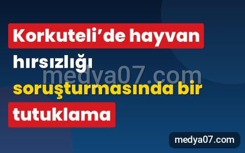 Korkuteli’de hayvan hırsızlığı soruşturmasında bir tutuklama