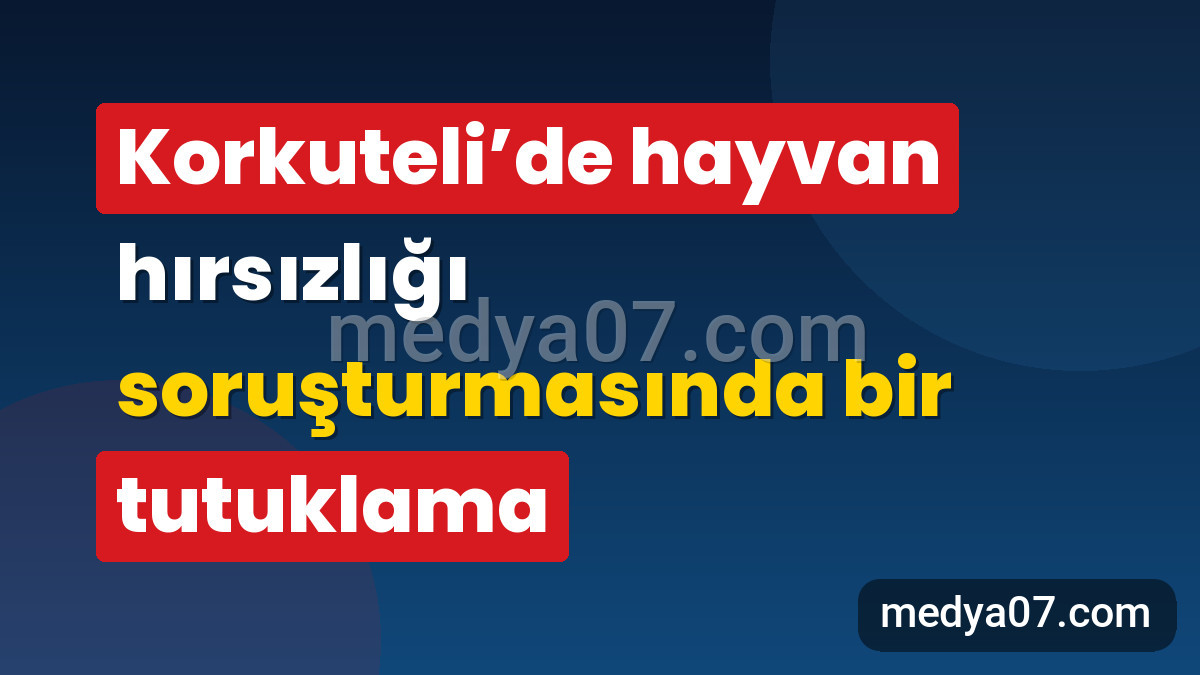 Korkuteli’de hayvan hırsızlığı soruşturmasında bir tutuklama