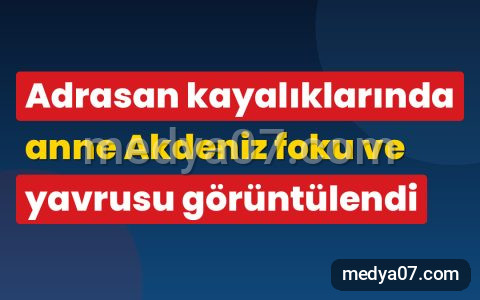 Adrasan kayalıklarında anne Akdeniz foku ve yavrusu görüntülendi