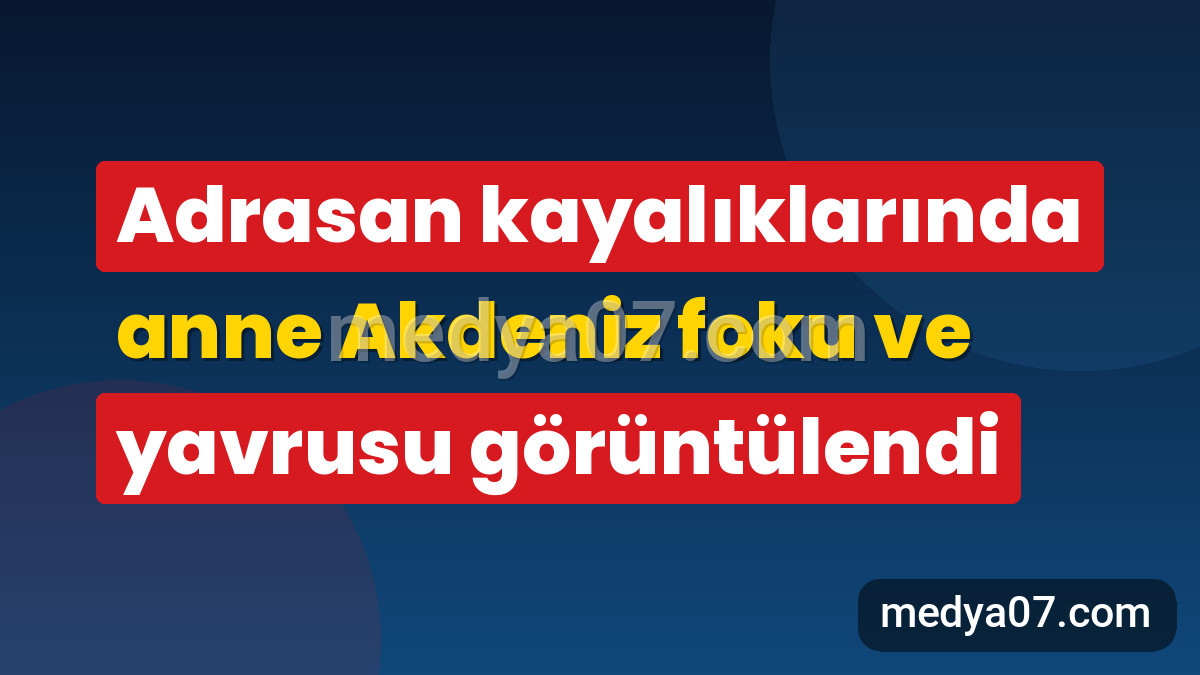 Adrasan kayalıklarında anne Akdeniz foku ve yavrusu görüntülendi