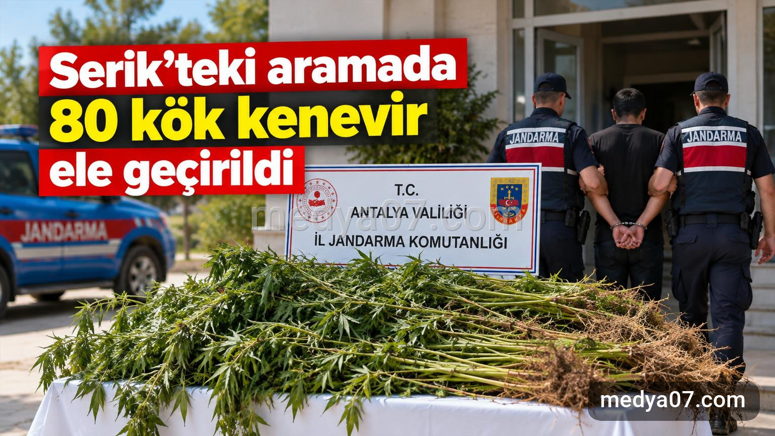 Serik’teki aramada 80 kök kenevir ele geçirildi