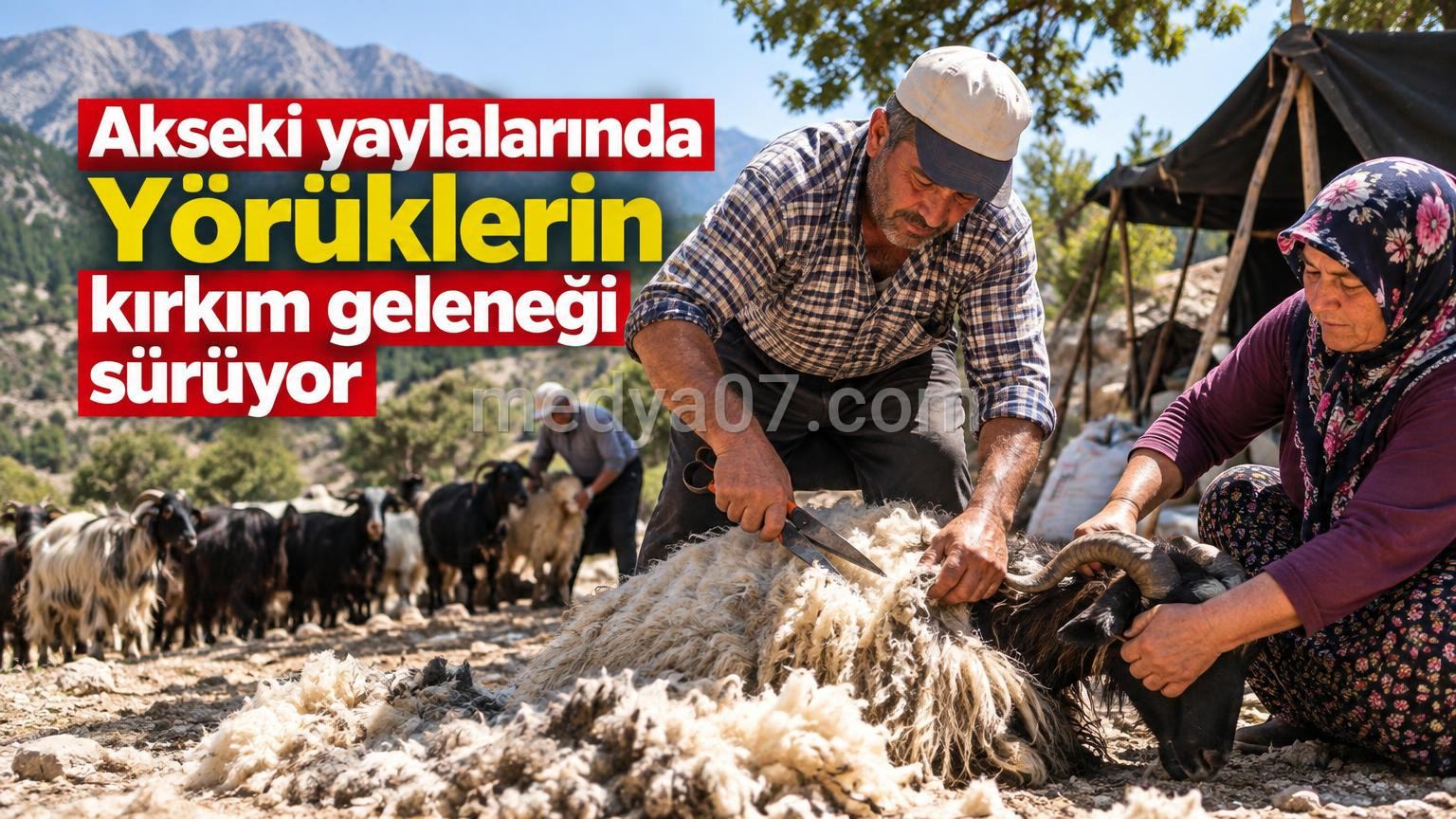 Akseki yaylalarında Yörüklerin kırkım geleneği sürüyor