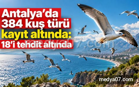 Antalya’da 384 kuş türü kayıt altında: 18’i tehdit altında