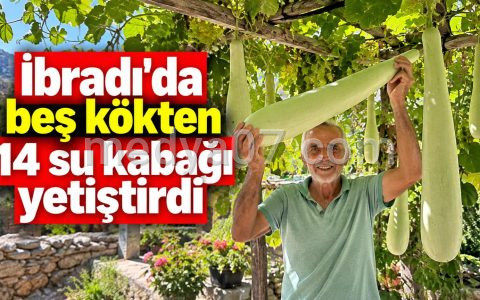 İbradı’da beş kökten 14 su kabağı yetiştirdi