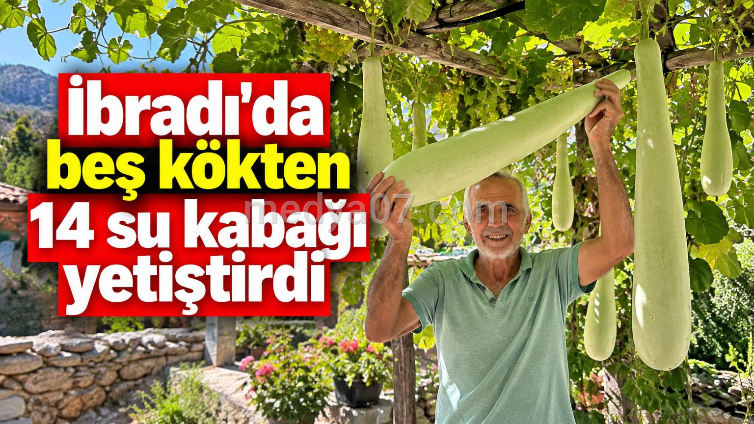 İbradı’da beş kökten 14 su kabağı yetiştirdi