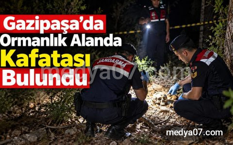 Gazipaşa’da Ormanlık Alanda Kafatası Bulundu