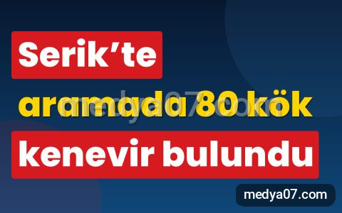 Serik’te aramada 80 kök kenevir bulundu