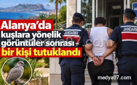 Alanya’da kuşlara yönelik görüntüler sonrası bir kişi tutuklandı