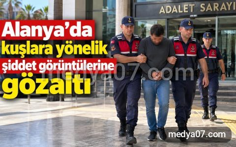 Alanya’da kuşlara yönelik şiddet görüntülerine gözaltı
