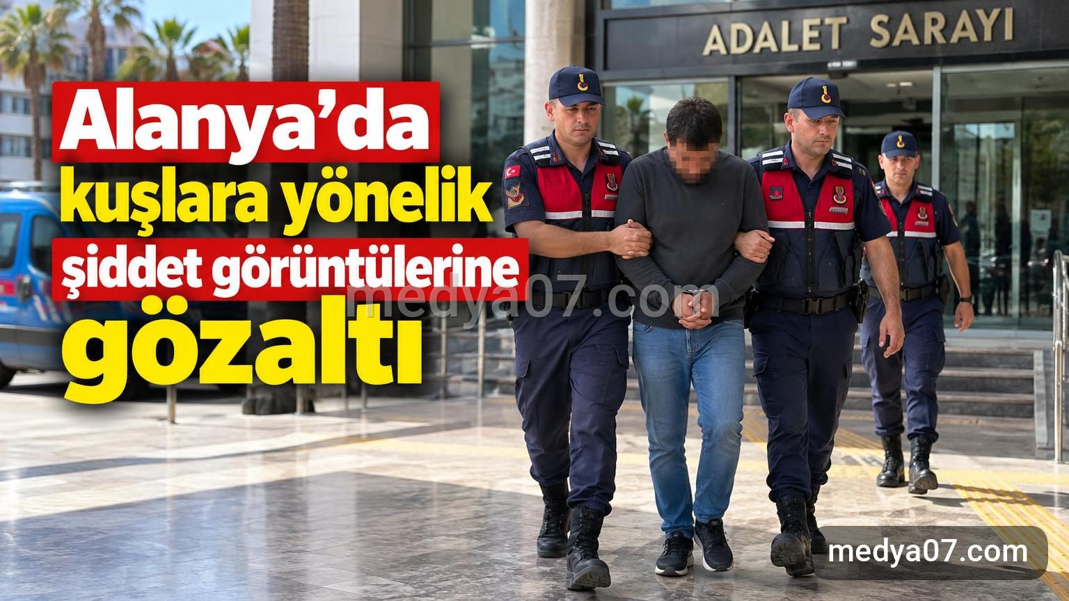 Alanya’da kuşlara yönelik şiddet görüntülerine gözaltı