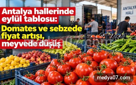 Antalya hallerinde eylül tablosu: Domates ve sebzede fiyat artışı, meyvede düşüş