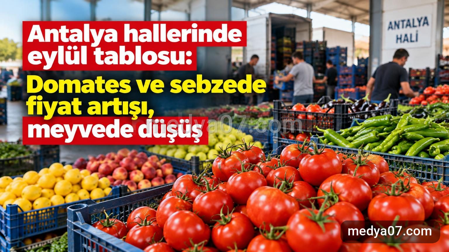 Antalya hallerinde eylül tablosu: Domates ve sebzede fiyat artışı, meyvede düşüş