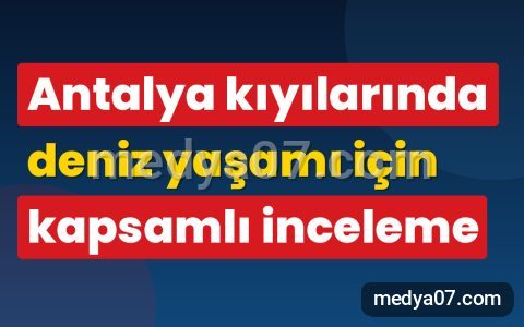 Antalya kıyılarında deniz yaşamı için kapsamlı inceleme