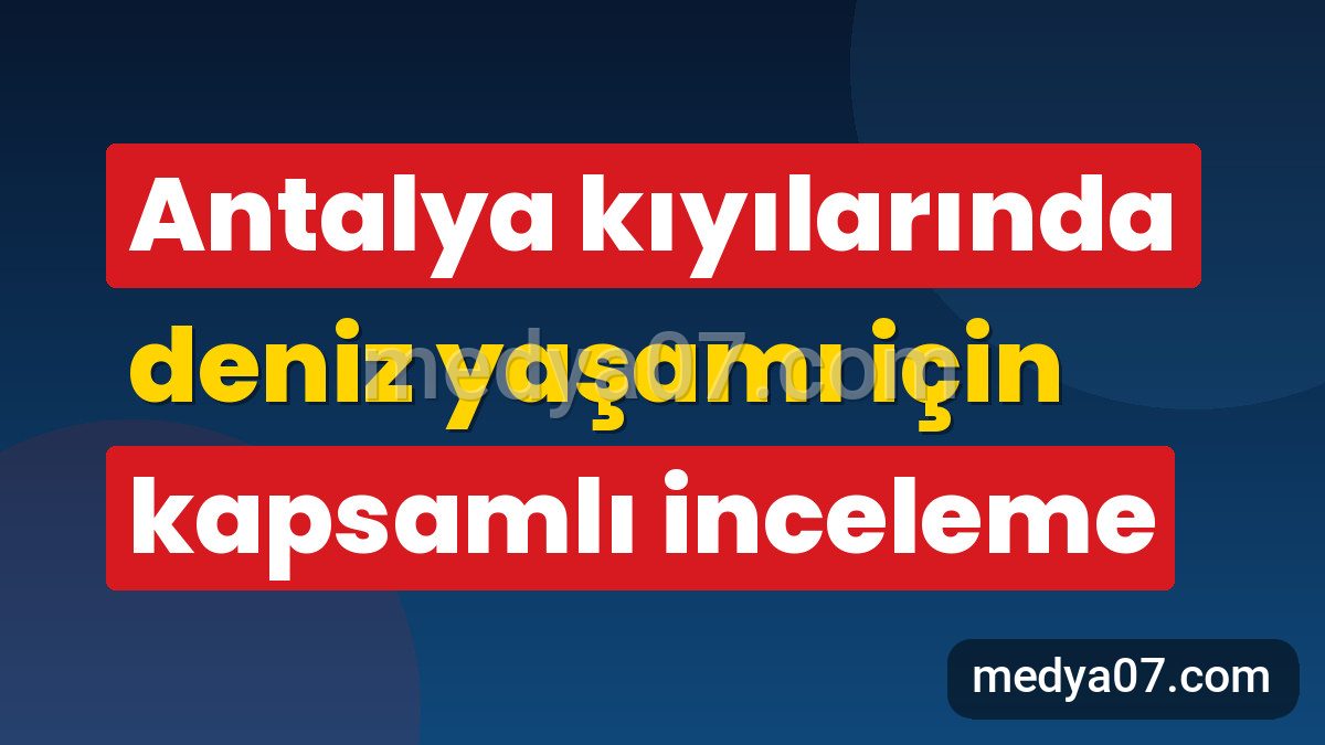 Antalya kıyılarında deniz yaşamı için kapsamlı inceleme