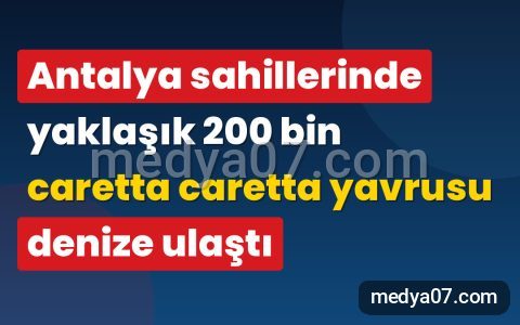 Antalya sahillerinde yaklaşık 200 bin caretta caretta yavrusu denize ulaştı