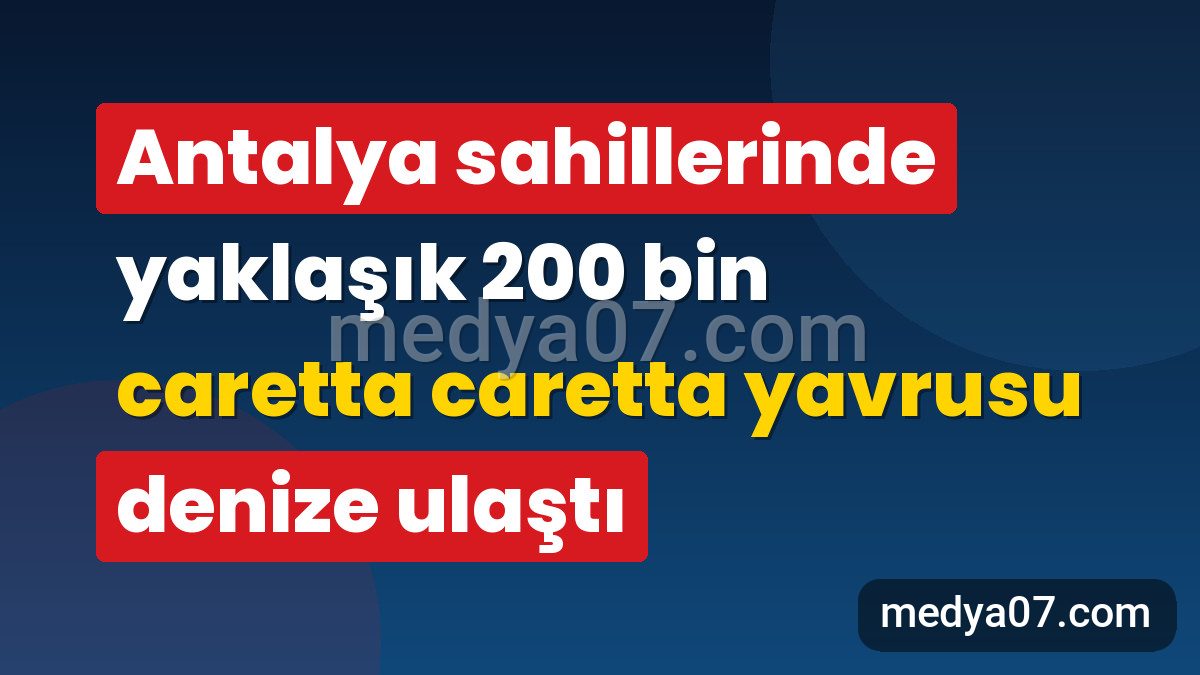 Antalya sahillerinde yaklaşık 200 bin caretta caretta yavrusu denize ulaştı