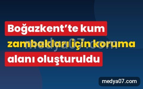 Boğazkent’te kum zambakları için koruma alanı oluşturuldu