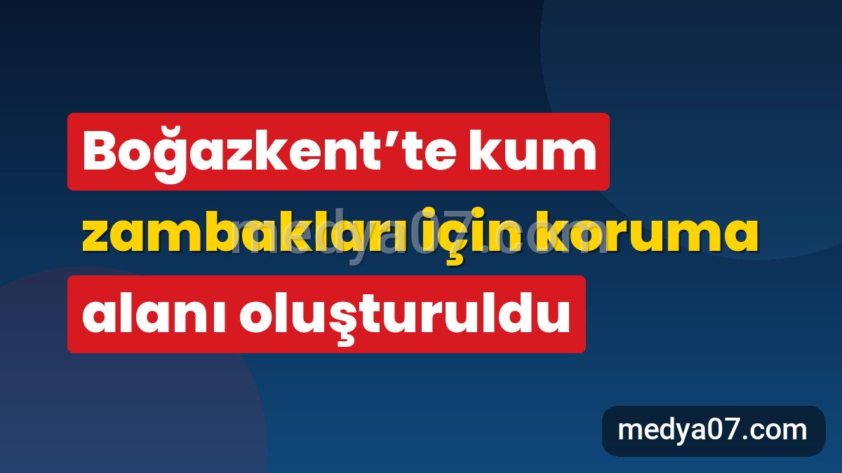 Boğazkent’te kum zambakları için koruma alanı oluşturuldu