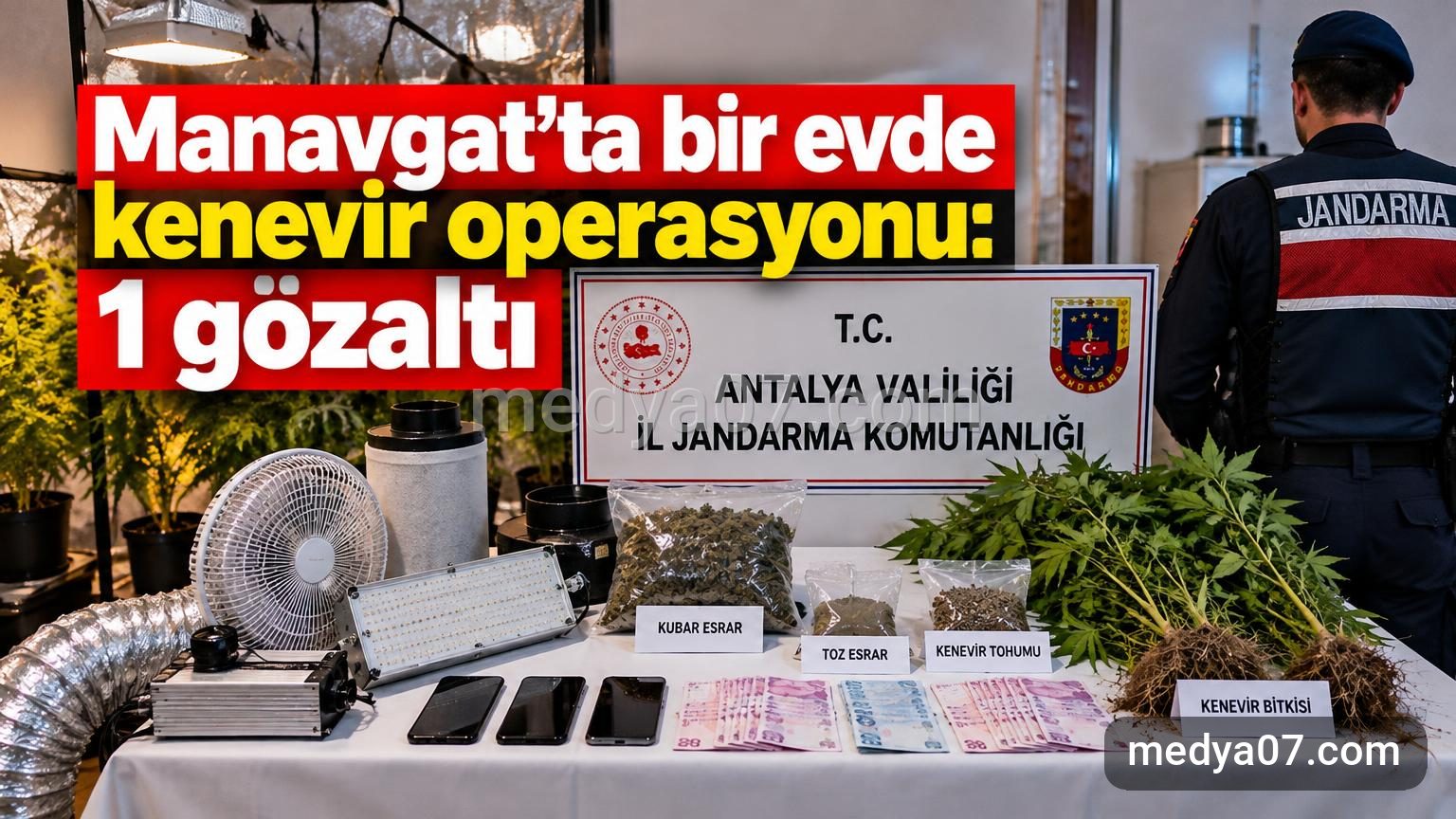 Manavgat’ta bir evde kenevir operasyonu: 1 gözaltı