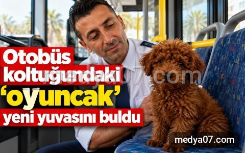 Otobüs koltuğundaki ‘oyuncak’ yeni yuvasını buldu