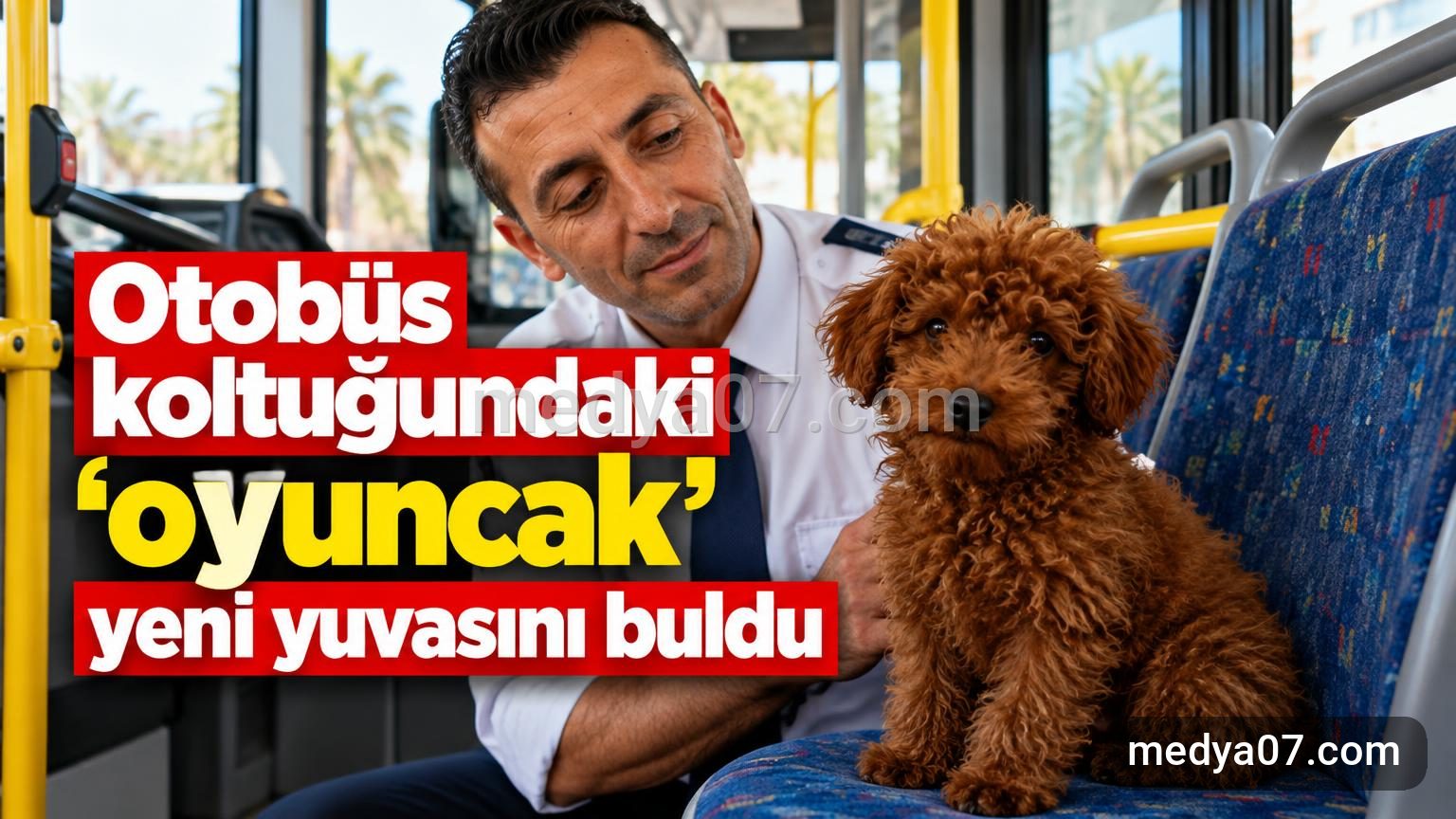 Otobüs koltuğundaki ‘oyuncak’ yeni yuvasını buldu