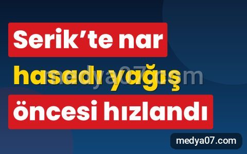 Serik’te nar hasadı yağış öncesi hızlandı