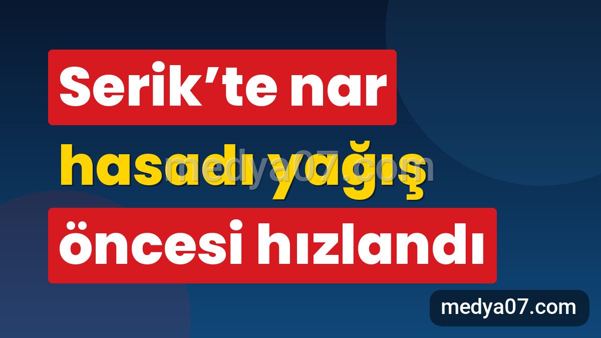 Serik’te nar hasadı yağış öncesi hızlandı