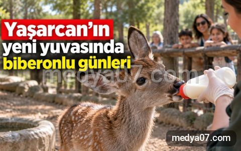 Yaşarcan’ın yeni yuvasında biberonlu günleri