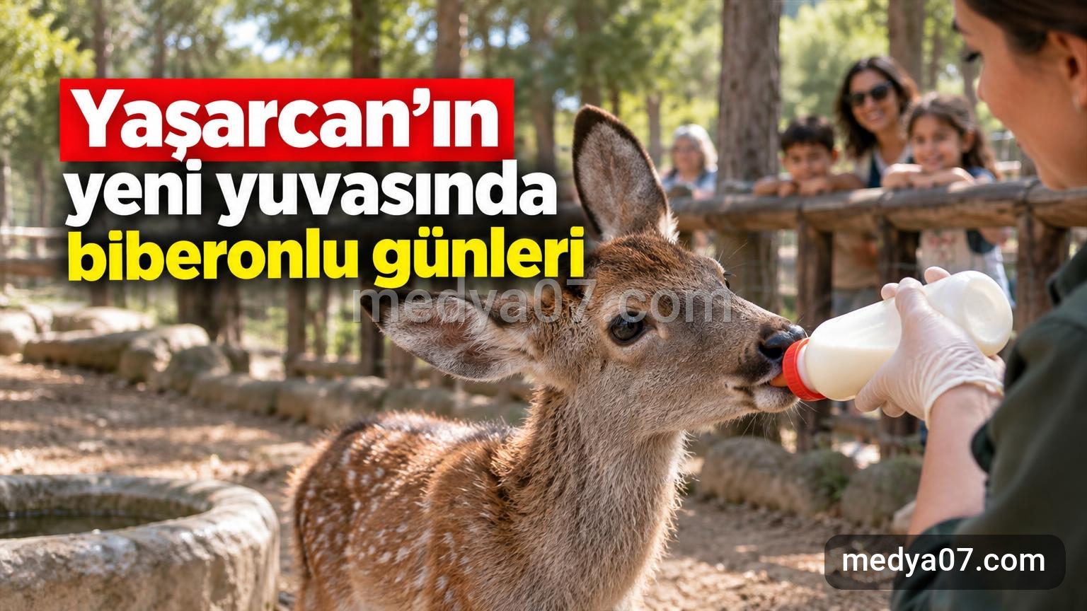 Yaşarcan’ın yeni yuvasında biberonlu günleri